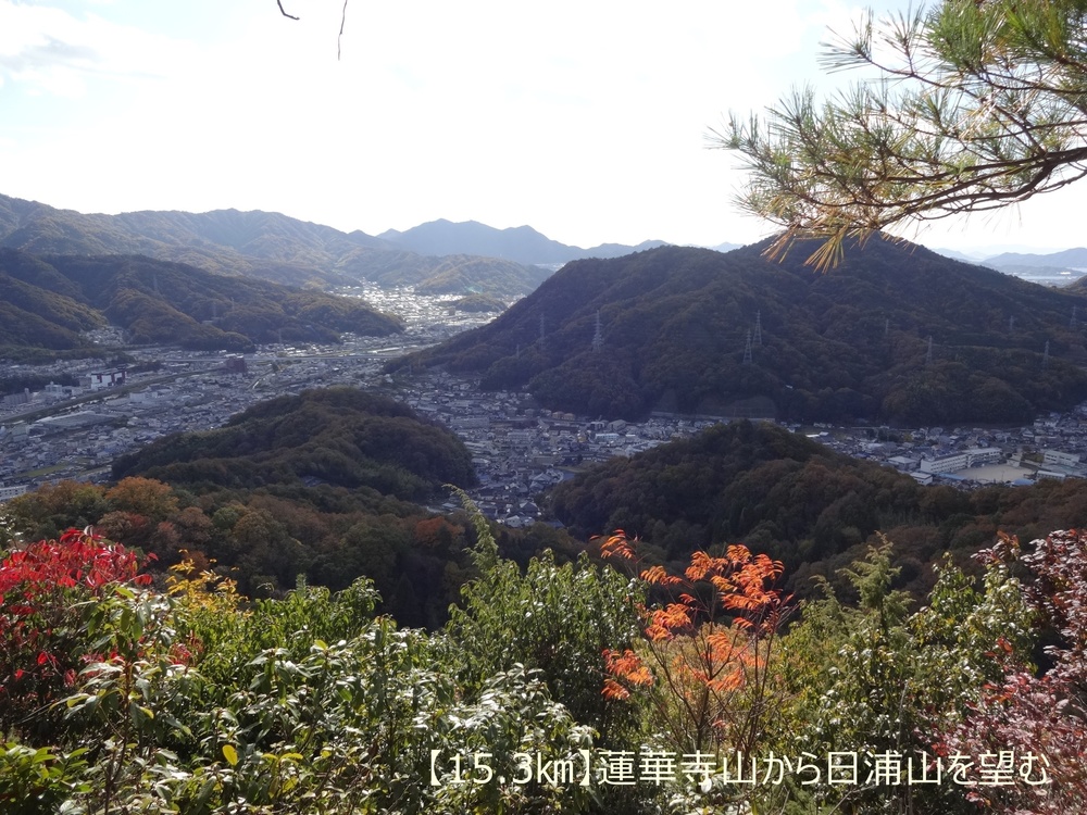 【トレイル22㎞】呉娑々宇山を巡る周回トレイル！の写真14