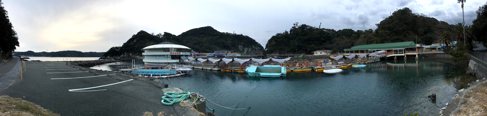 多々戸浜起点 伊豆下田シーサイド朝ランの写真4