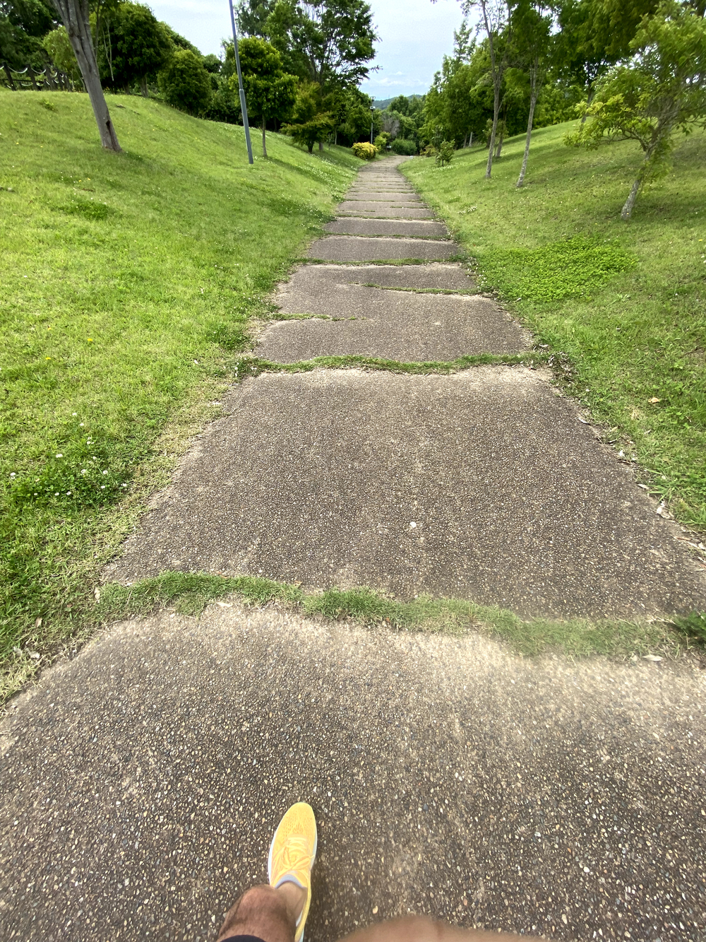 三木防災公園内と一部トレイルがある5kmコースの写真3