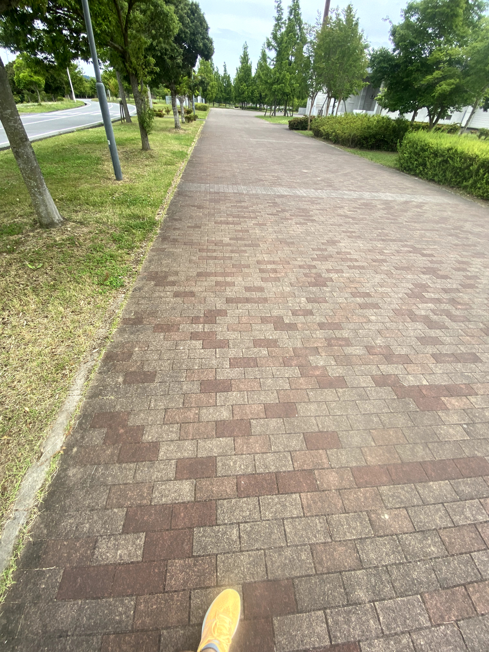 三木防災公園内と一部トレイルがある5kmコースの写真4