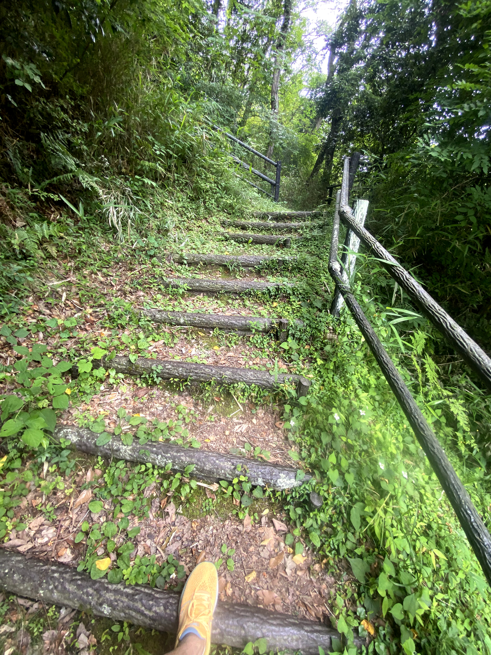 三木防災公園内と一部トレイルがある5kmコースの写真5