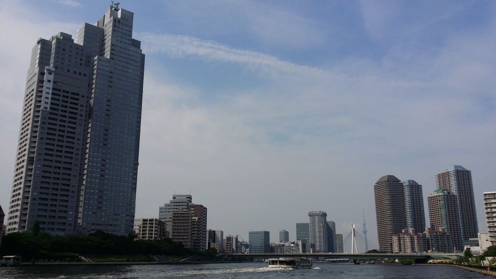 隅田川テラスから眺めるスカイツリーの写真3