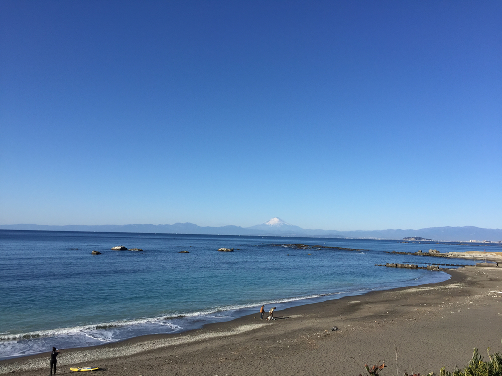三浦半島ラン(北鎌倉〜ソレイユの丘)の写真5