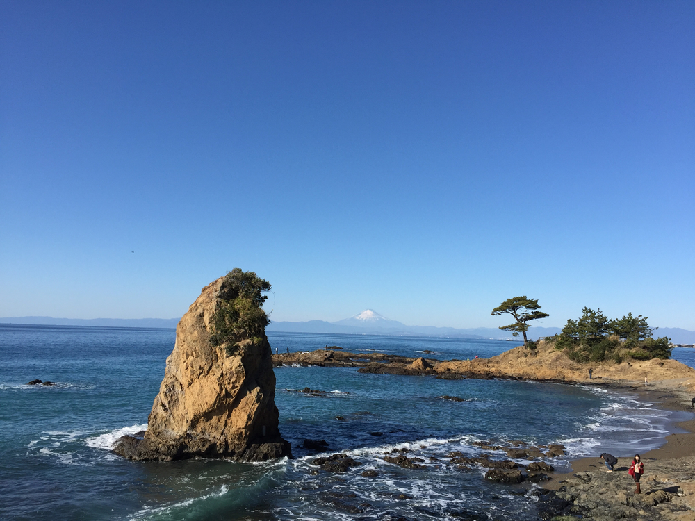 三浦半島ラン(北鎌倉〜ソレイユの丘)の写真6