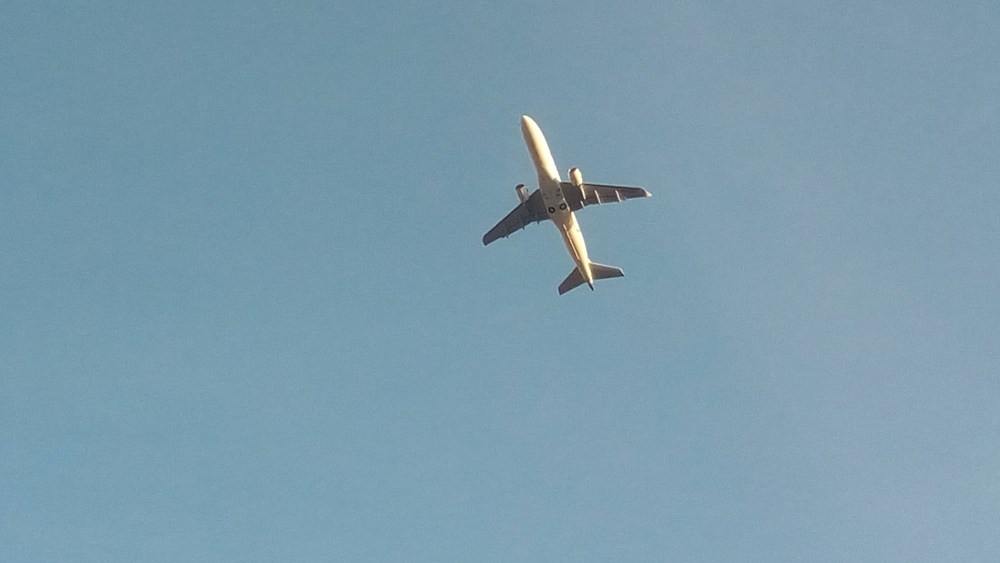 飛行機の離発着を最も間近に見ながら走れる伊丹スカイパークランニングの写真4