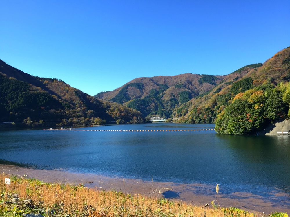 紅葉を楽しむ丹沢湖周回コースの写真3