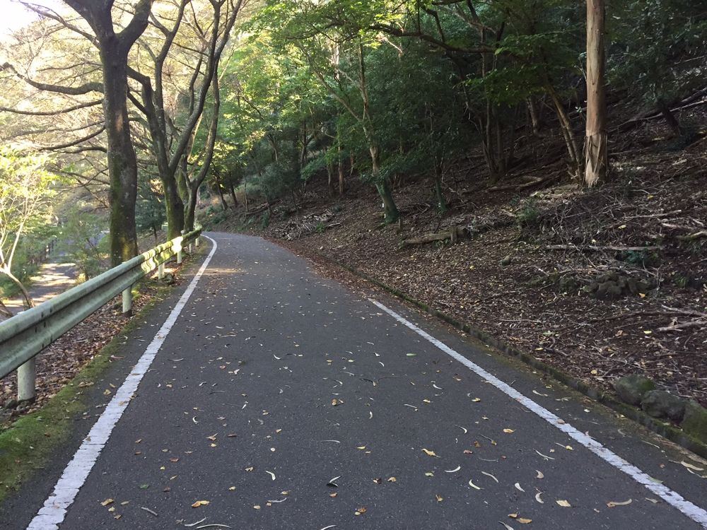 奥野ダム周回コースの写真3