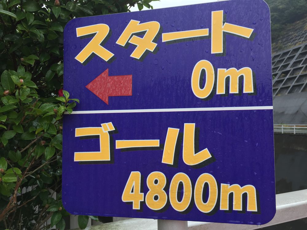 奥野ダム周回コースの写真4