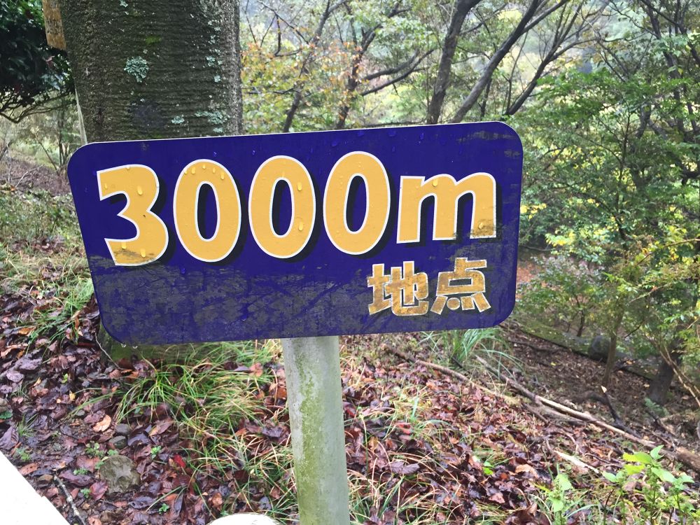 奥野ダム周回コースの写真5