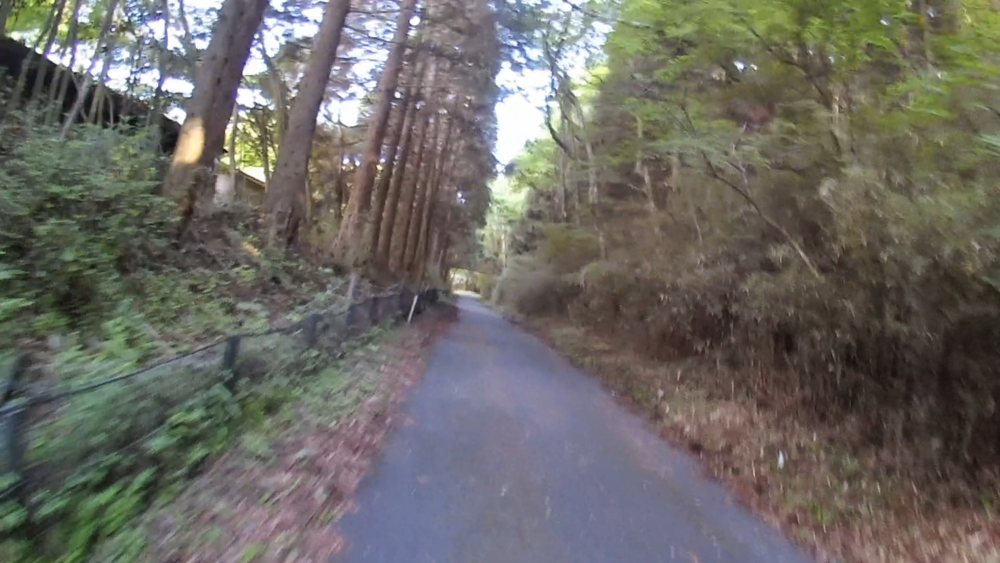 箱根九頭竜の森セラピーロードと桃源台から姥子駅の自然探求路を巡るの写真4