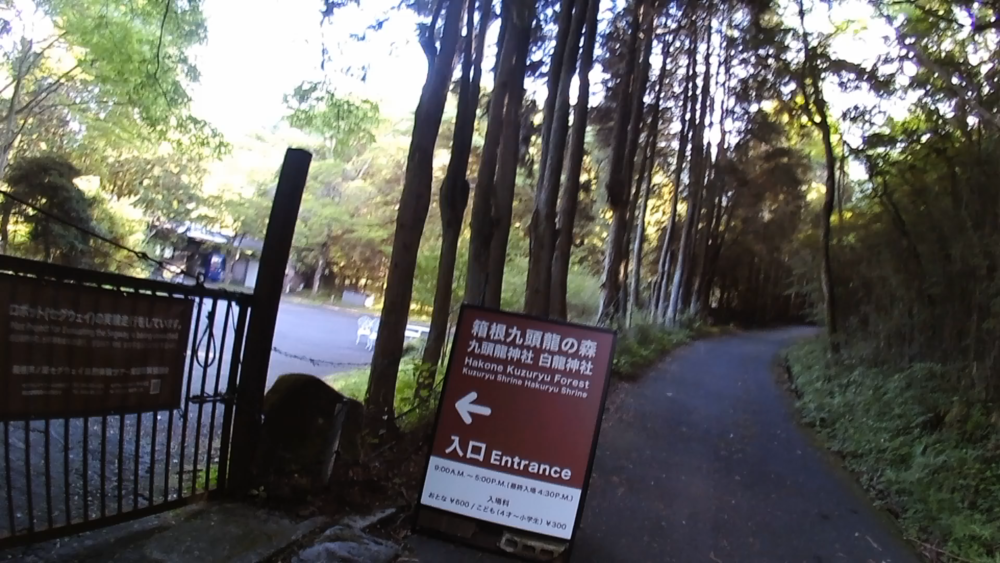 箱根九頭竜の森セラピーロードと桃源台から姥子駅の自然探求路を巡るの写真5