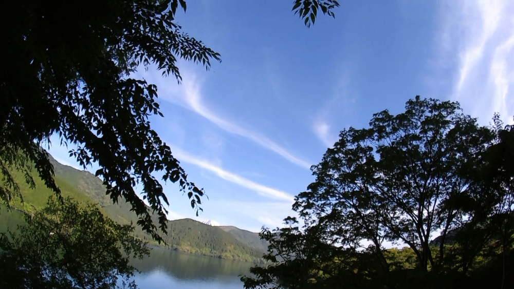 箱根九頭竜の森セラピーロードと桃源台から姥子駅の自然探求路を巡るの写真6