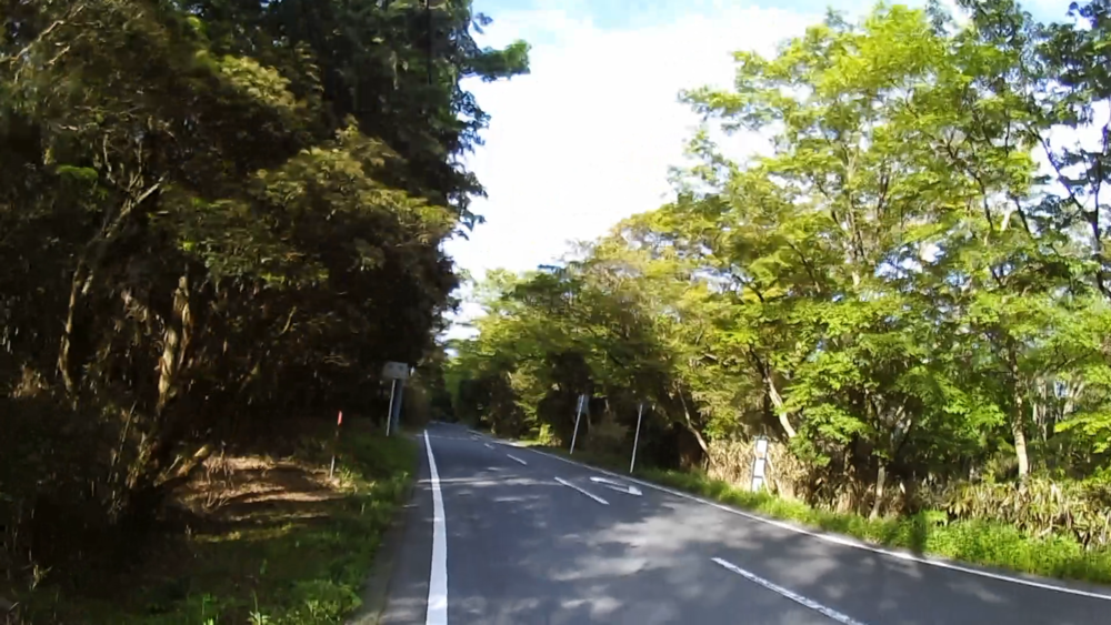 箱根九頭竜の森セラピーロードと桃源台から姥子駅の自然探求路を巡るの写真7