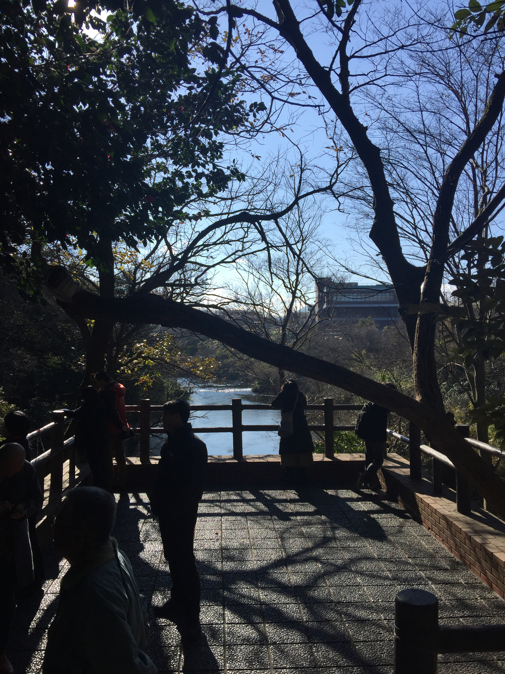 GeoRun(三島市・清水町)の写真3