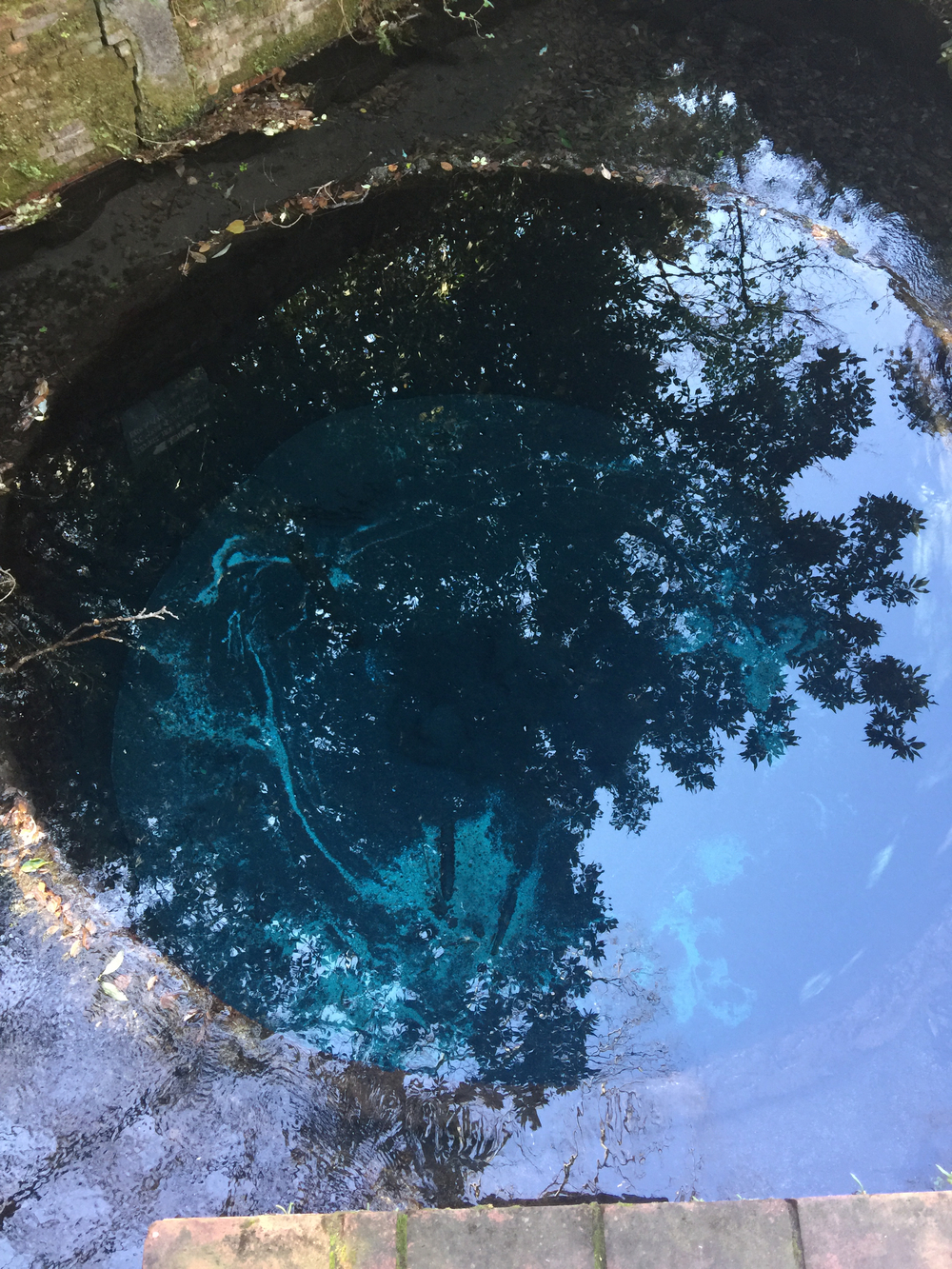 GeoRun(三島市・清水町)の写真4