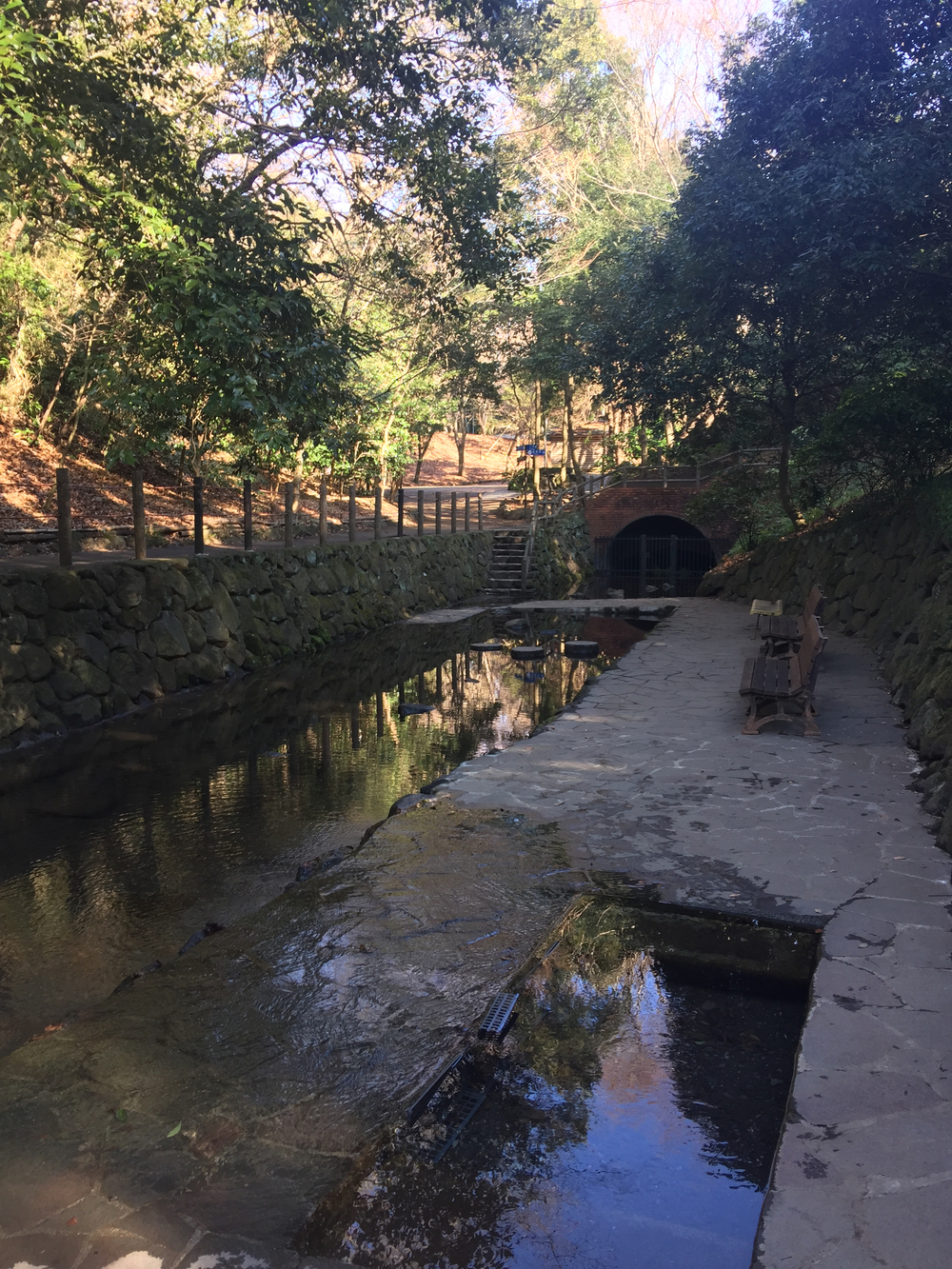 GeoRun(三島市・清水町)の写真5