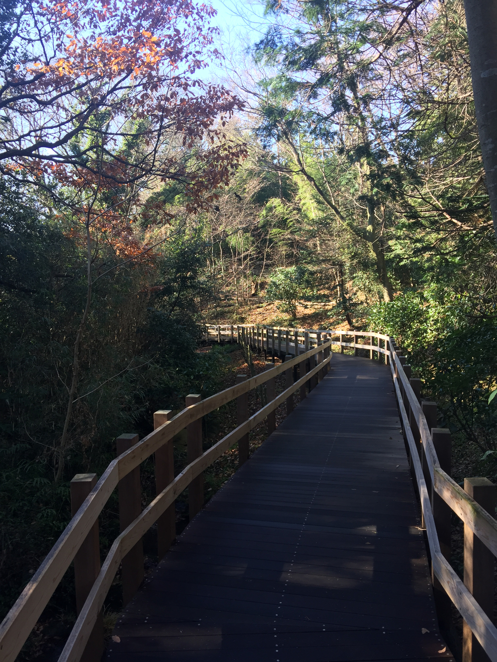 GeoRun(三島市・清水町)の写真6