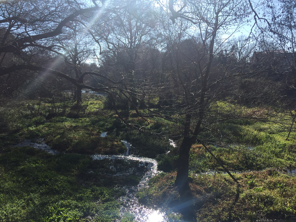 GeoRun(三島市・清水町)の写真9