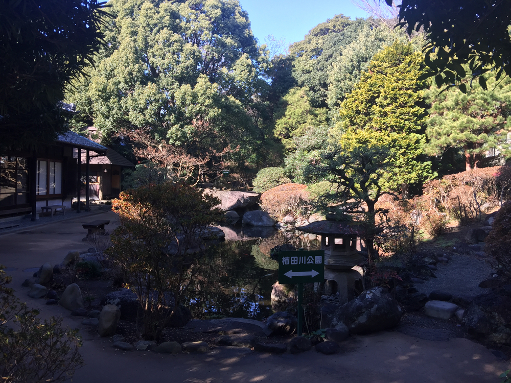 GeoRun(三島市・清水町)の写真12