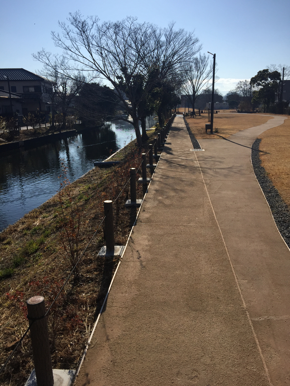GeoRun(三島市・清水町)の写真14
