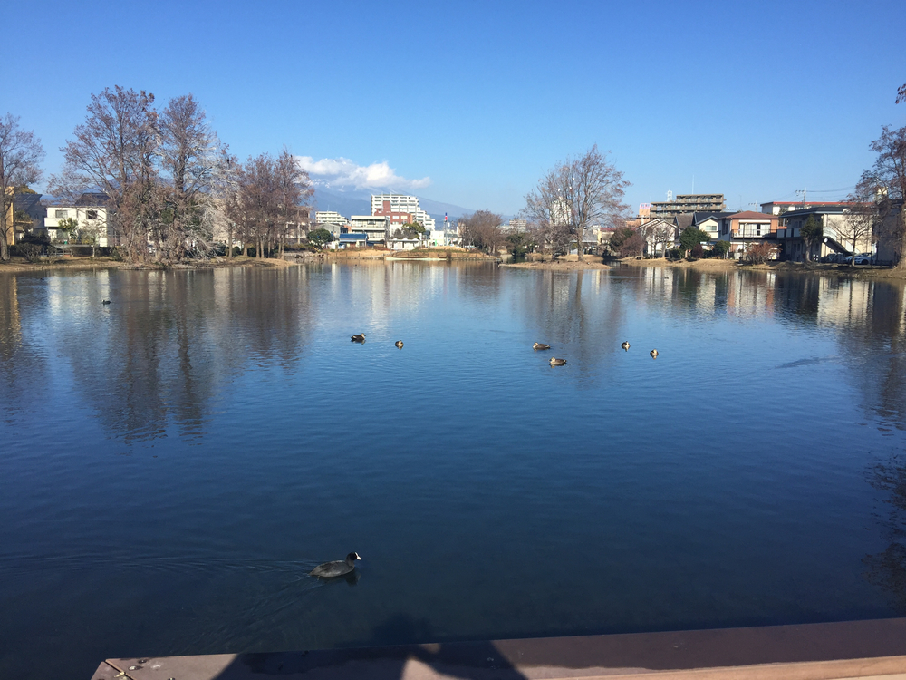 GeoRun(三島市・清水町)の写真15