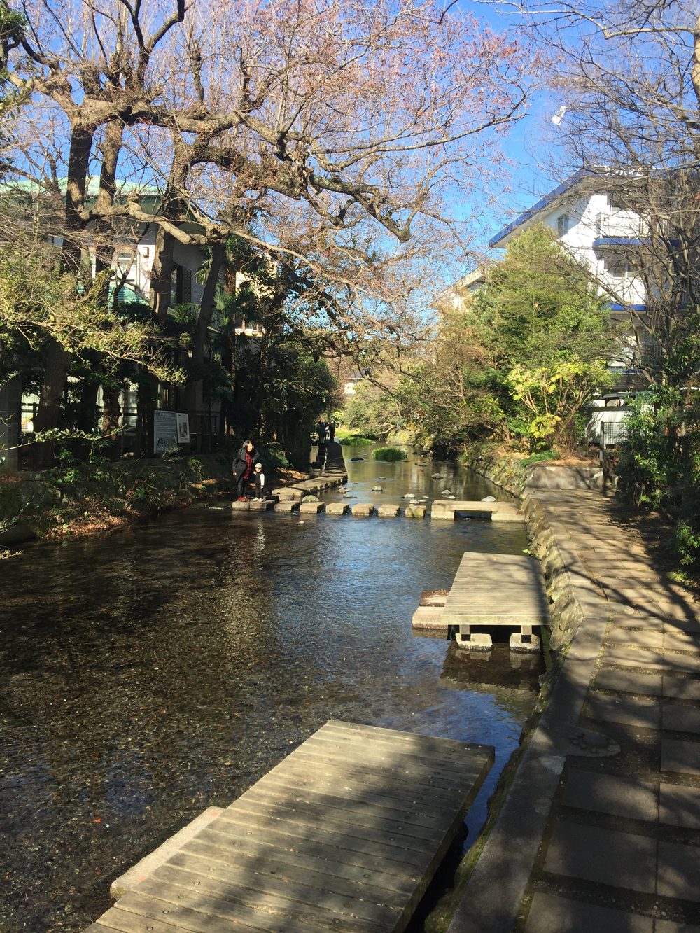 GeoRun(三島市・清水町)の写真16