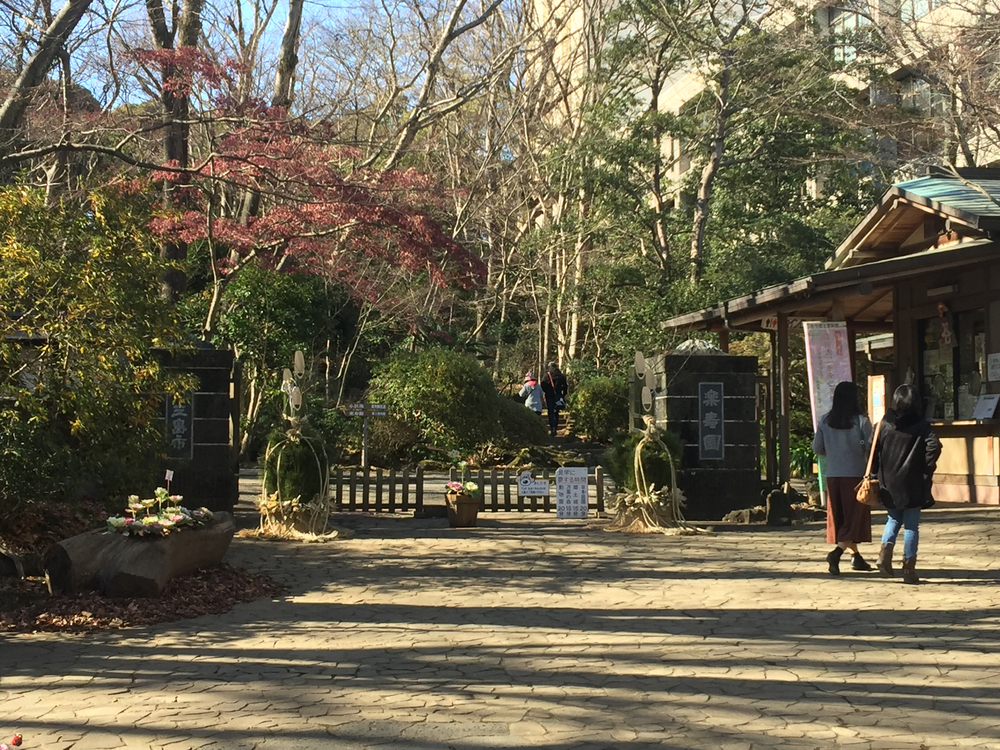 GeoRun(三島市・清水町)の写真19