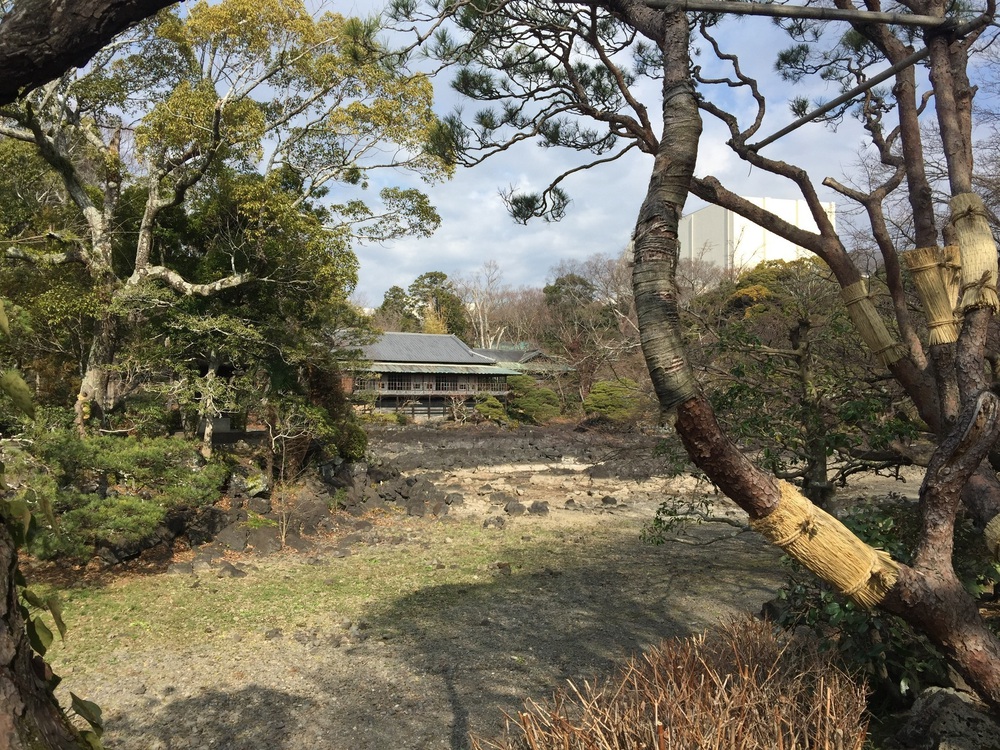 GeoRun(三島市・清水町)の写真20