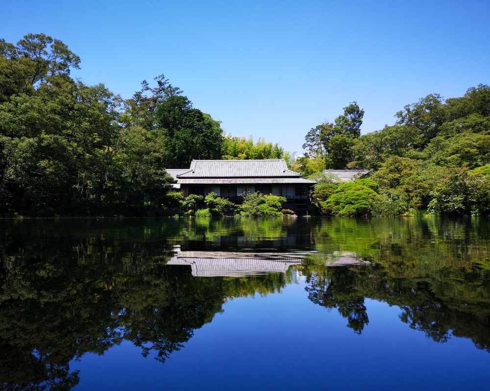 GeoRun(三島市・清水町)の写真21