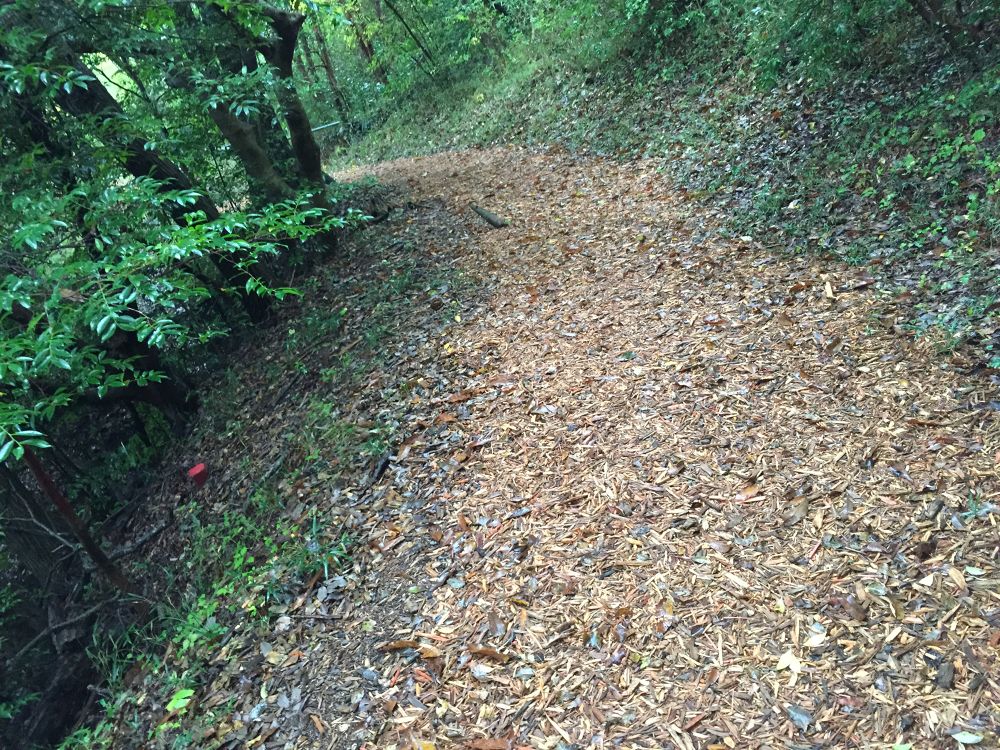 一碧湖周回コースの写真3