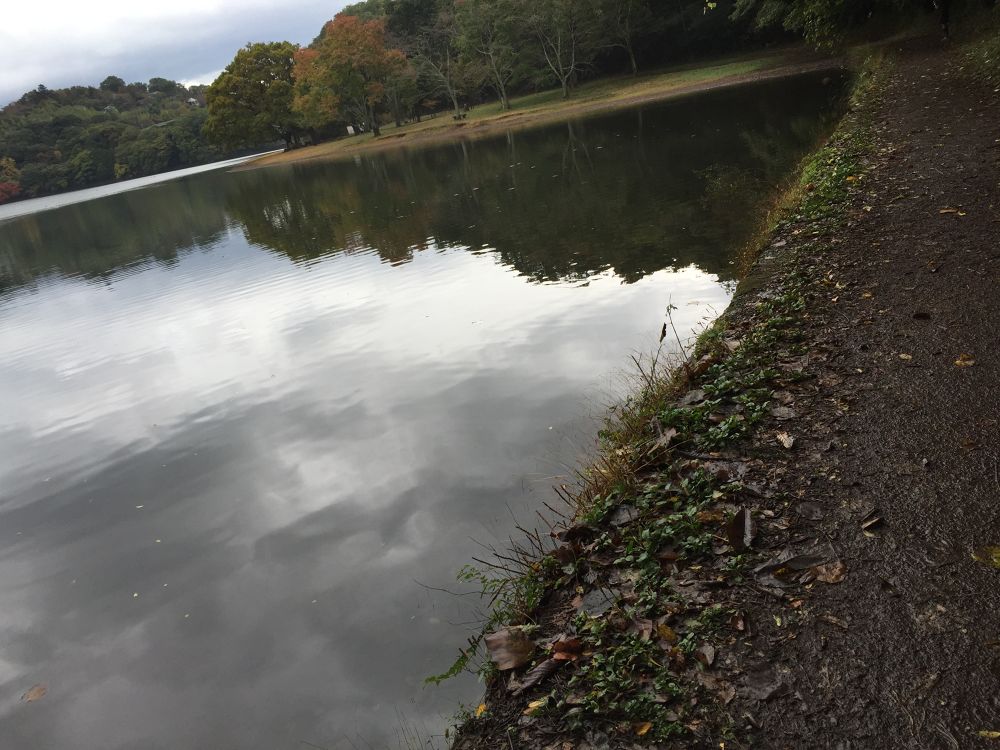 一碧湖周回コースの写真4