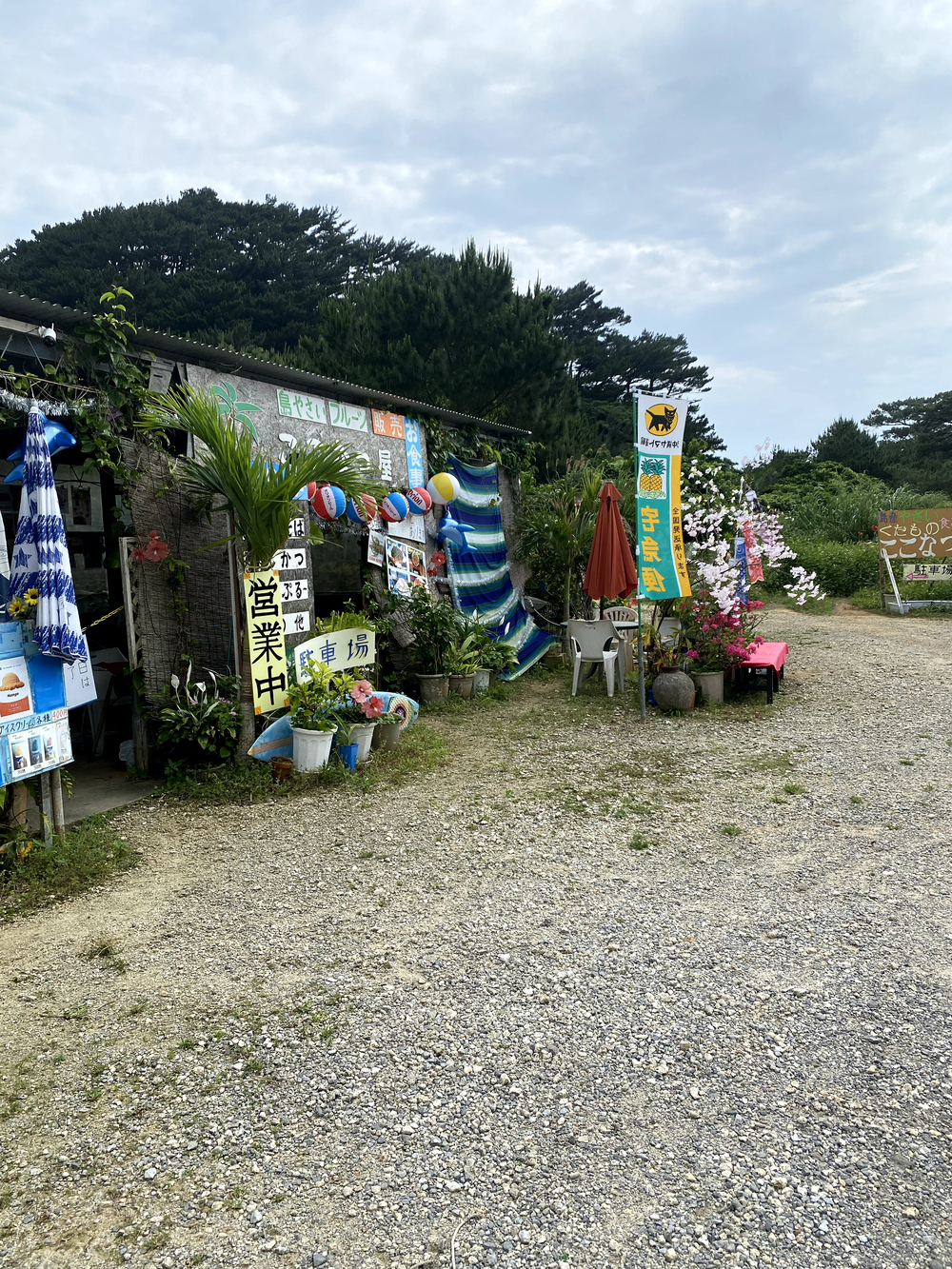 暑さに負けずに石垣島🏝️25キロランの写真6