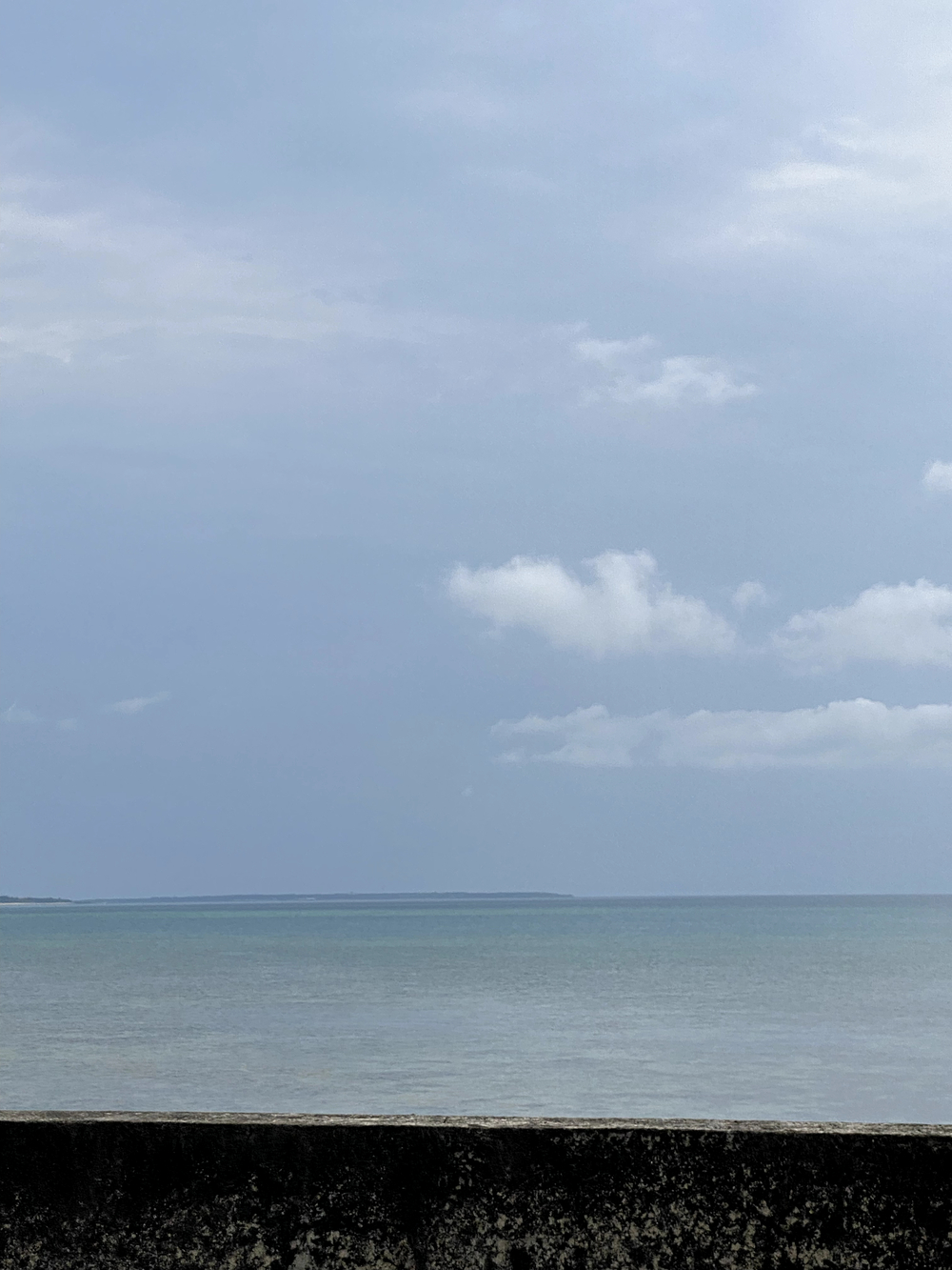 暑さに負けずに石垣島🏝️25キロランの写真8