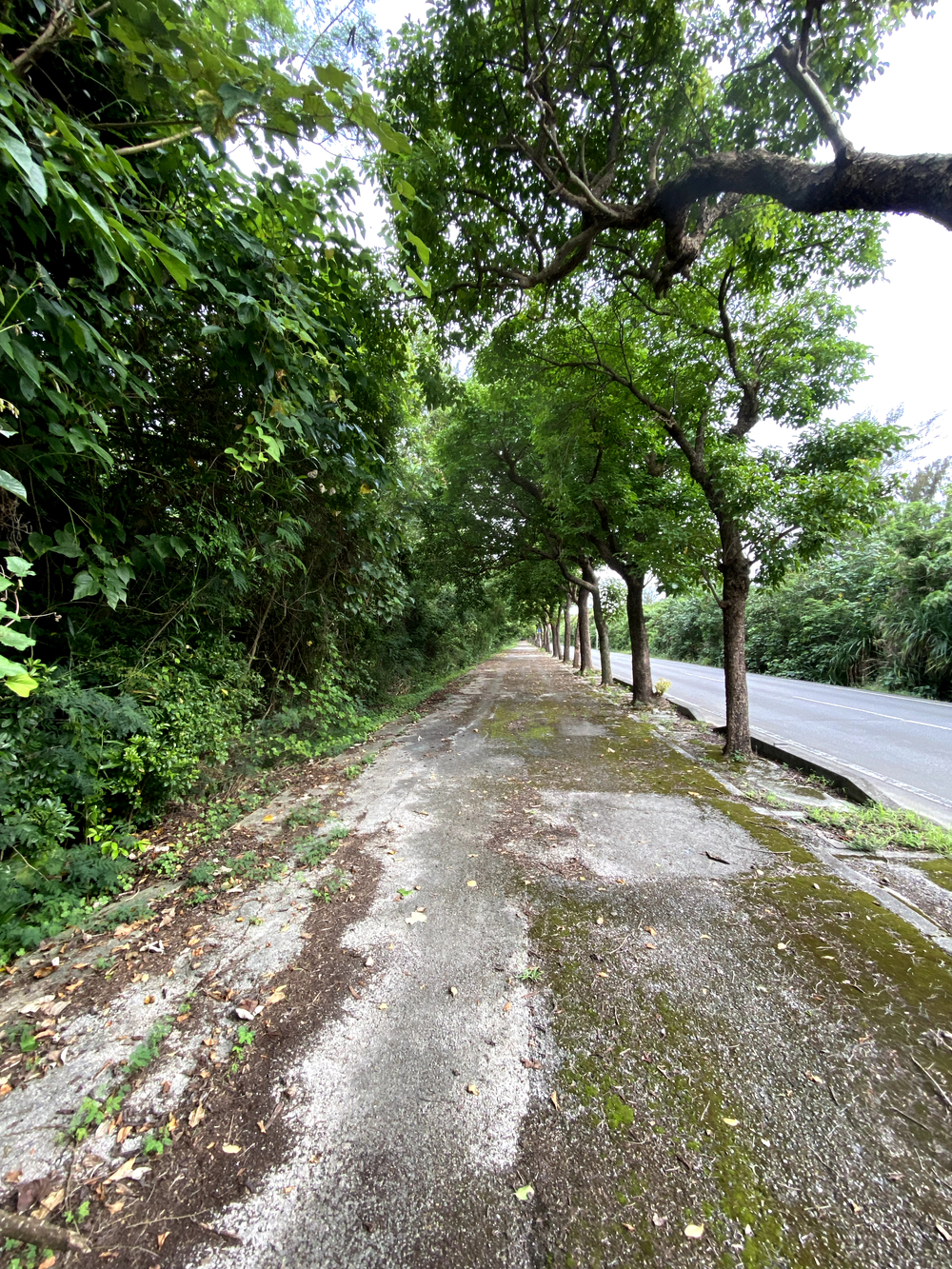 暑さに負けずに石垣島🏝️25キロランの写真11