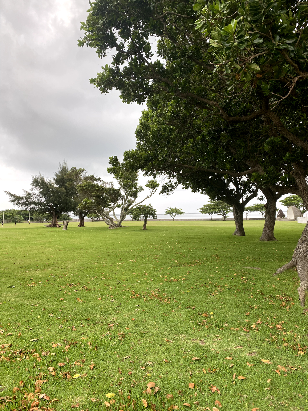 暑さに負けずに石垣島🏝️25キロランの写真12