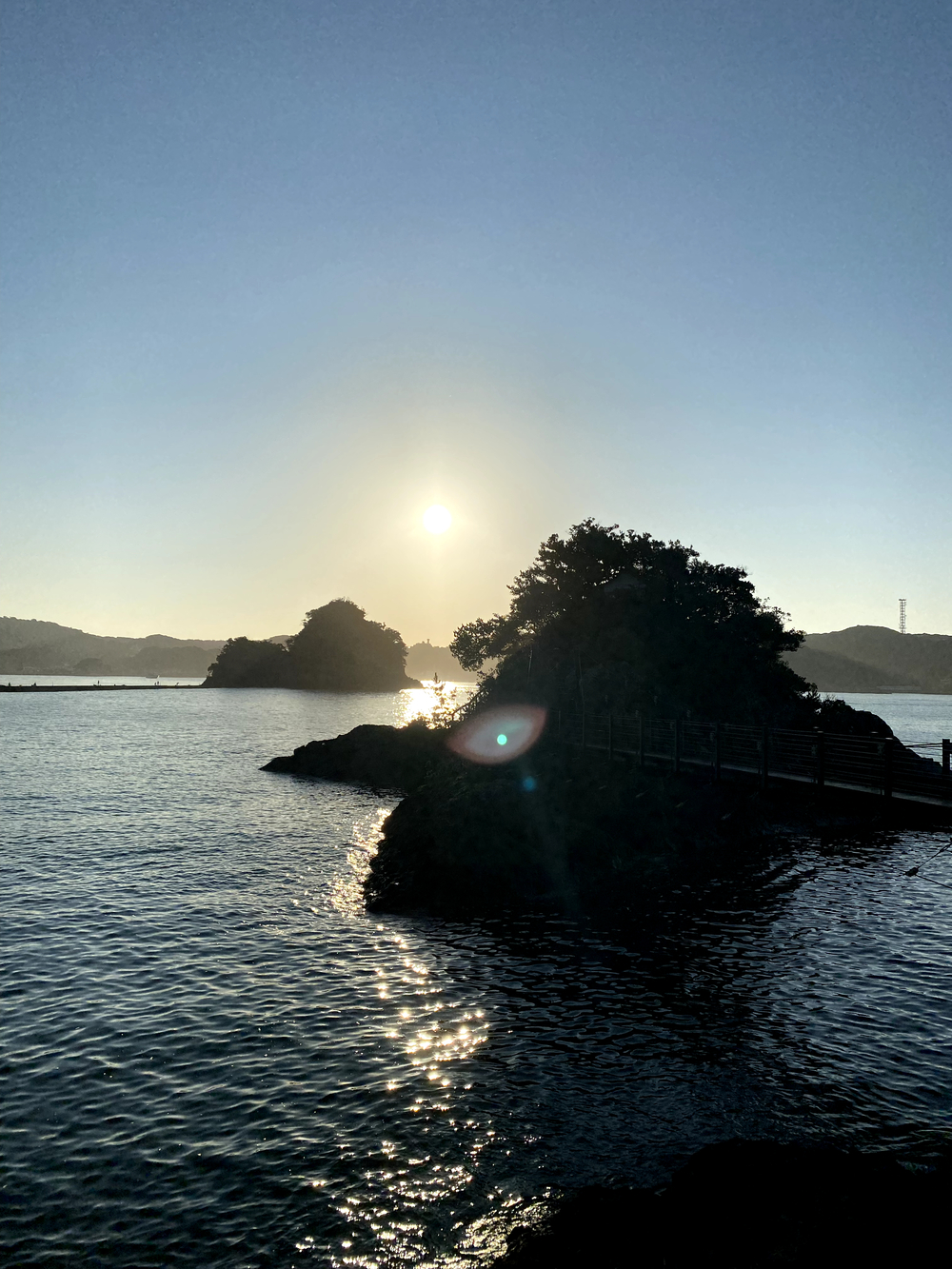 海沿い🌊下田ラン13キロの写真4