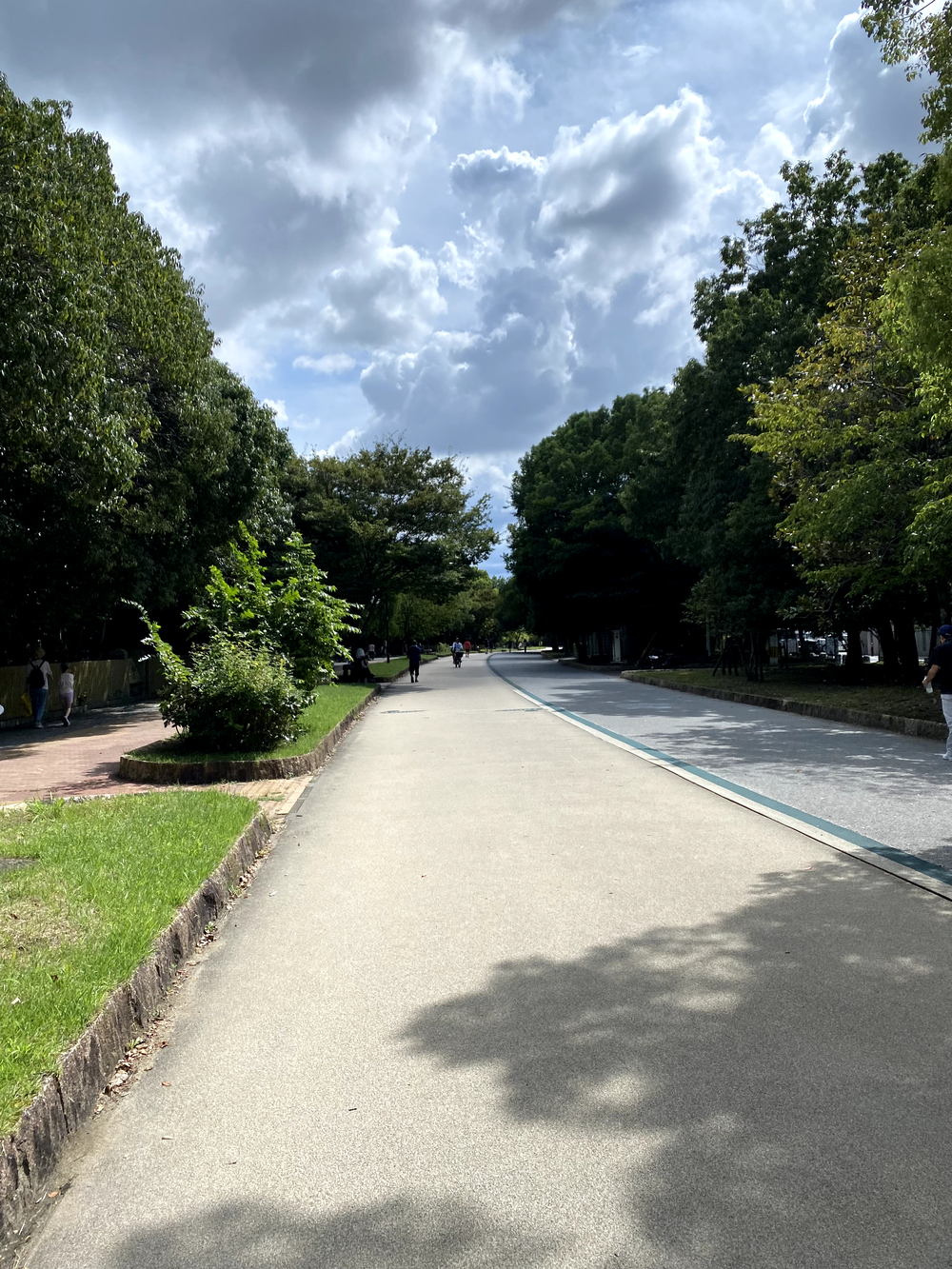 よかよか〜福岡ラン⛵️海、街、堪能20キロの写真5