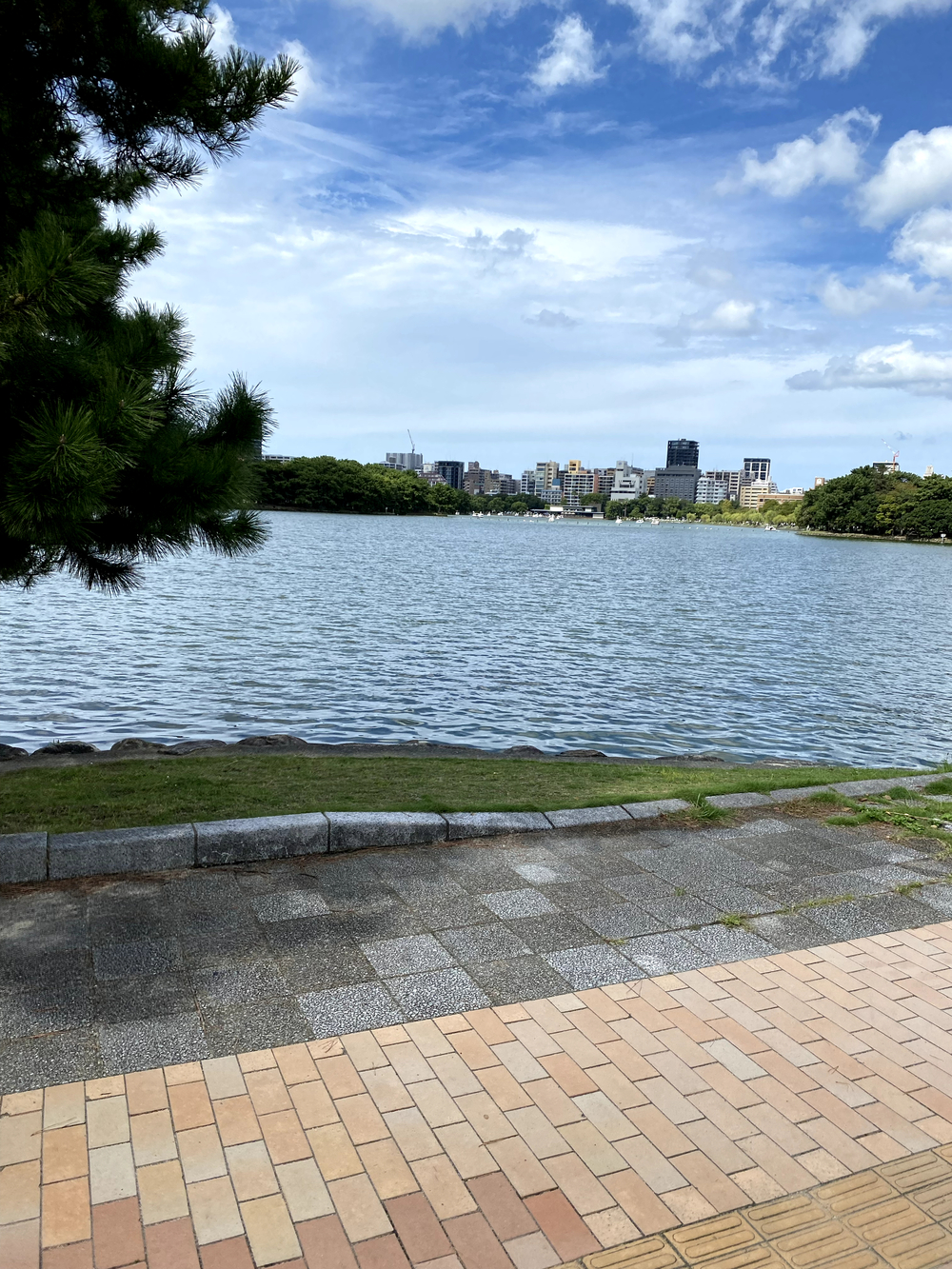 よかよか〜福岡ラン⛵️海、街、堪能20キロの写真6