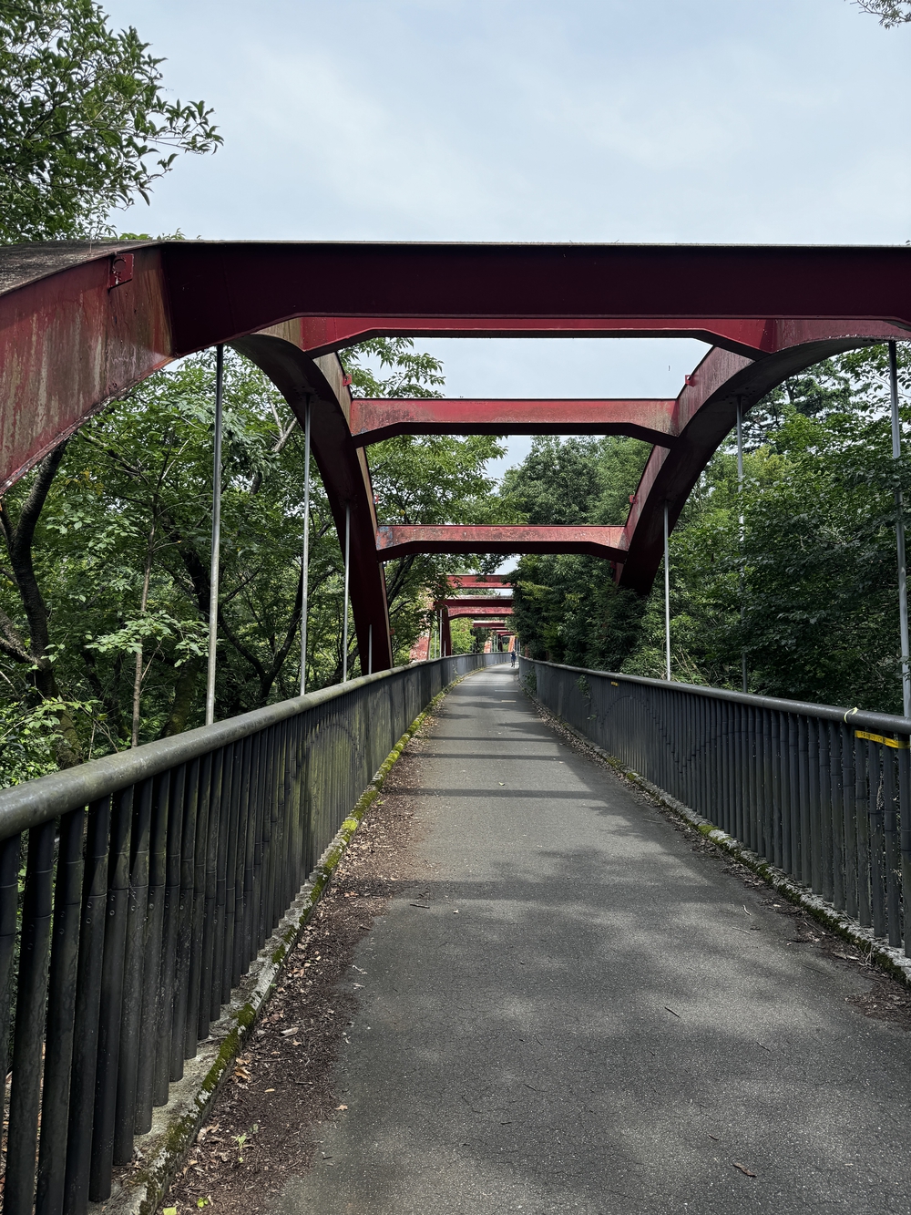 西武球場前駅起点、多摩湖・狭山湖一周コース24キロの写真4