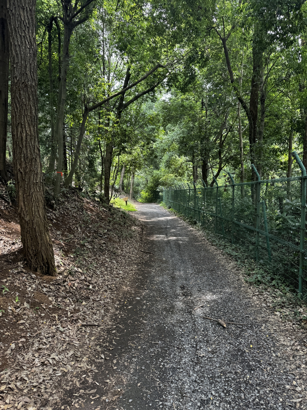 西武球場前駅起点、多摩湖・狭山湖一周コース24キロの写真6
