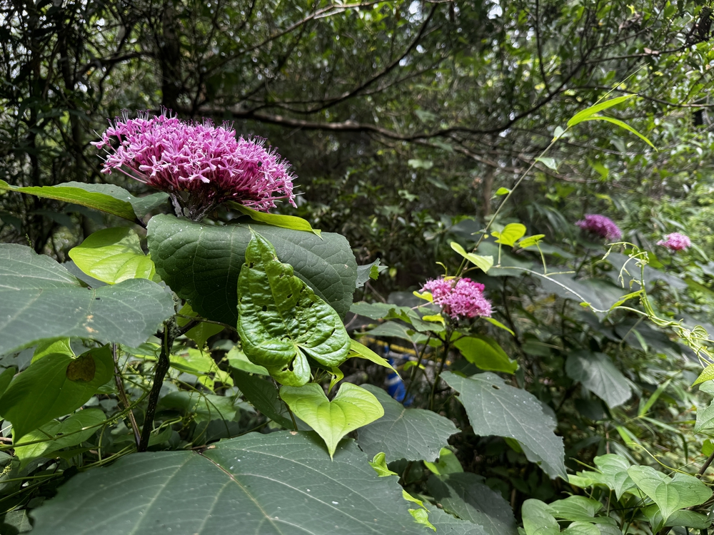 西武球場前駅起点、多摩湖・狭山湖一周コース24キロの写真7