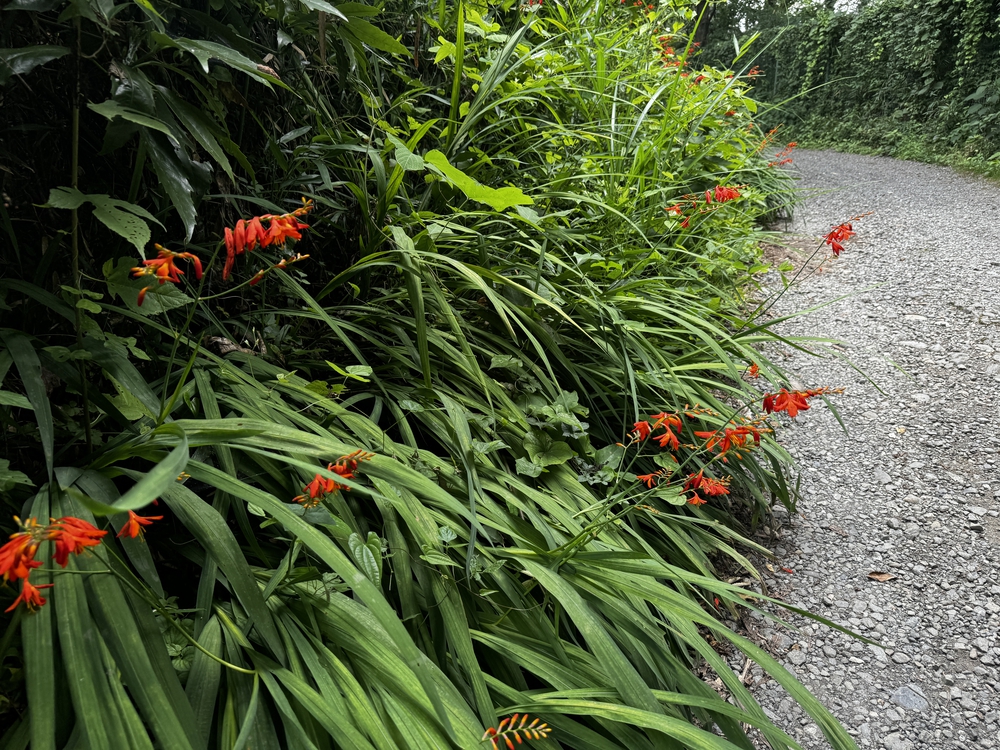 西武球場前駅起点、多摩湖・狭山湖一周コース24キロの写真8