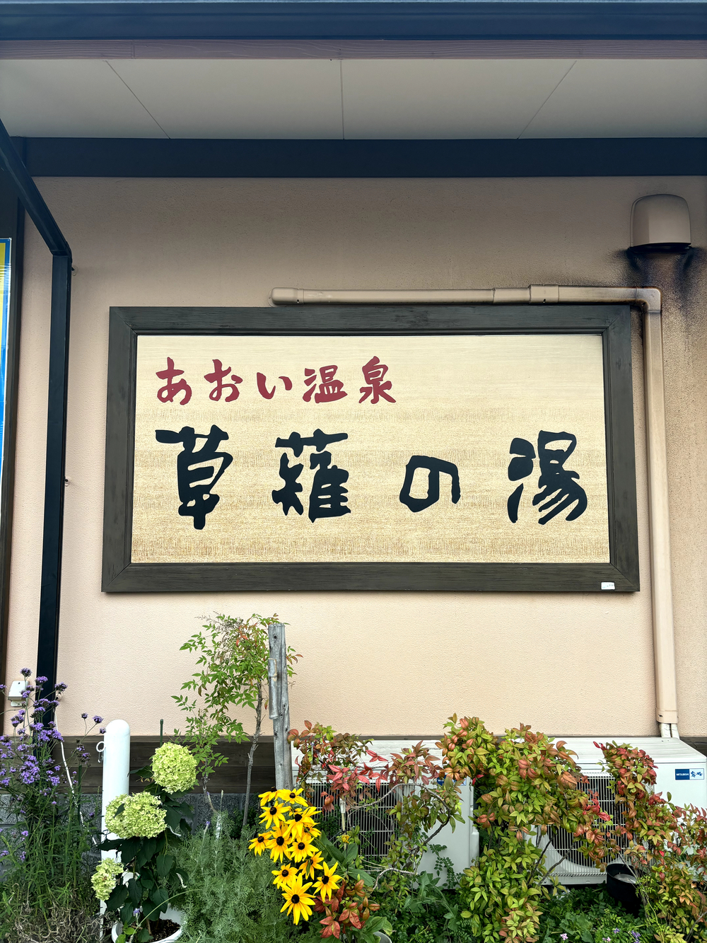 歌川広重と共にRUN 興津の写真7