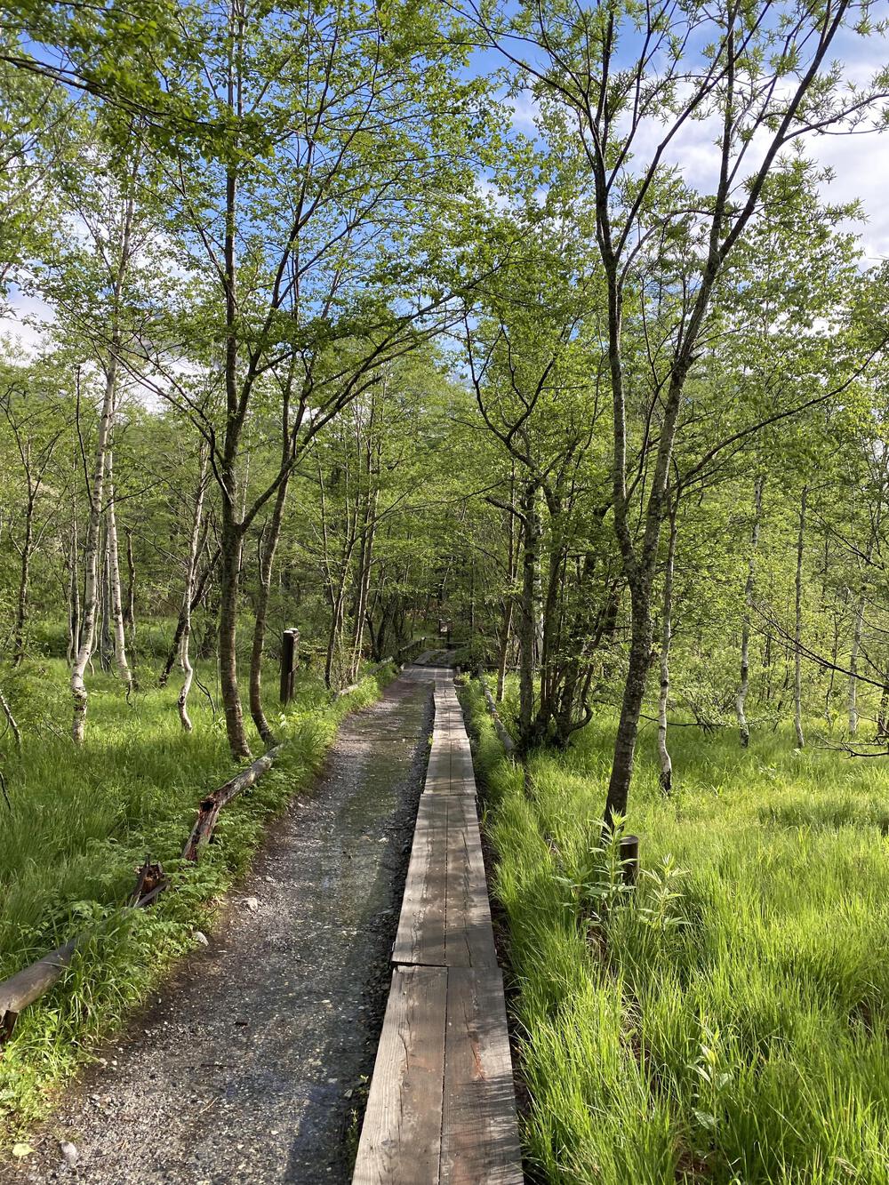 絶景✨上高地ラン25キロの写真3