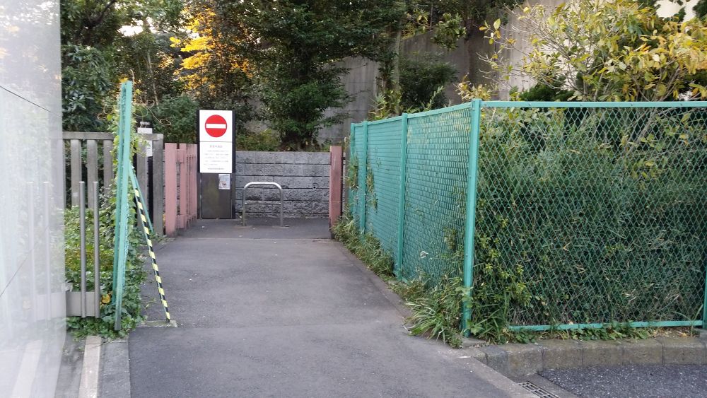 都心三苑一筆書きお散歩ラン（約10km）の写真5