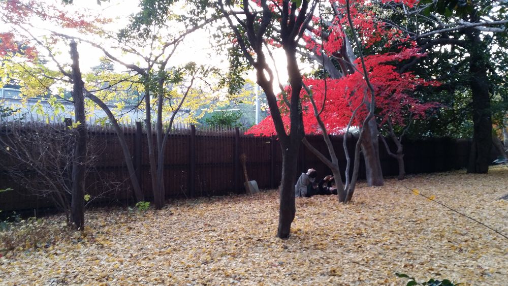 都心三苑一筆書きお散歩ラン（約10km）の写真7