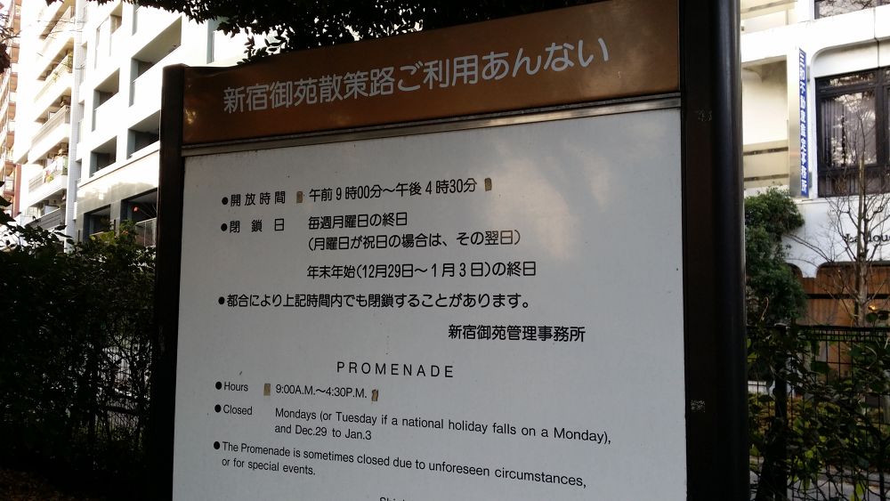 都心三苑一筆書きお散歩ラン（約10km）の写真8