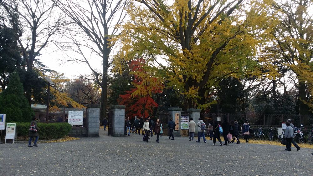 都心三苑一筆書きお散歩ラン（約10km）の写真9