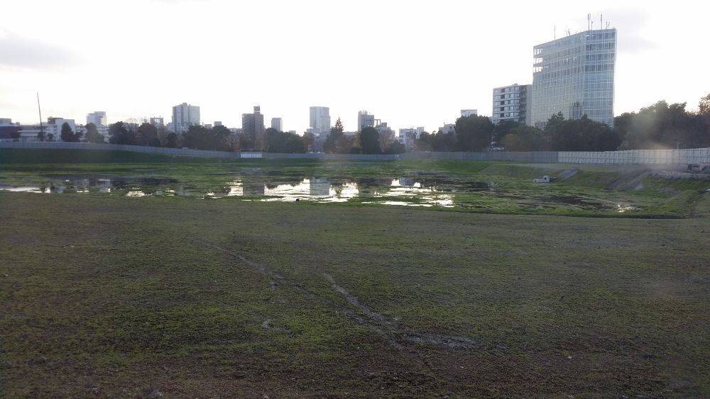 都心三苑一筆書きお散歩ラン（約10km）の写真11