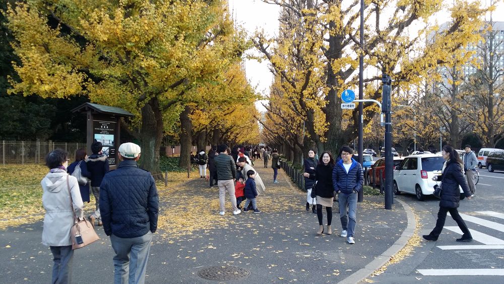 都心三苑一筆書きお散歩ラン（約10km）の写真14